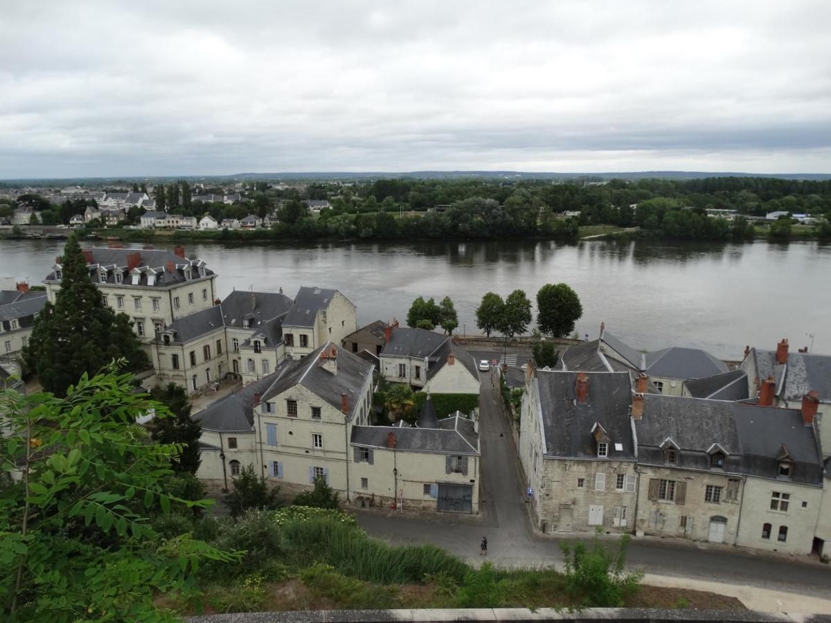 Vue Splendide Sur Chateau Saumur Buitenkant foto